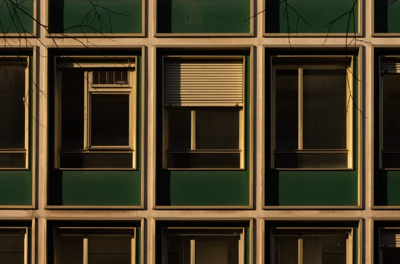 An image of windows in autumn lighting
